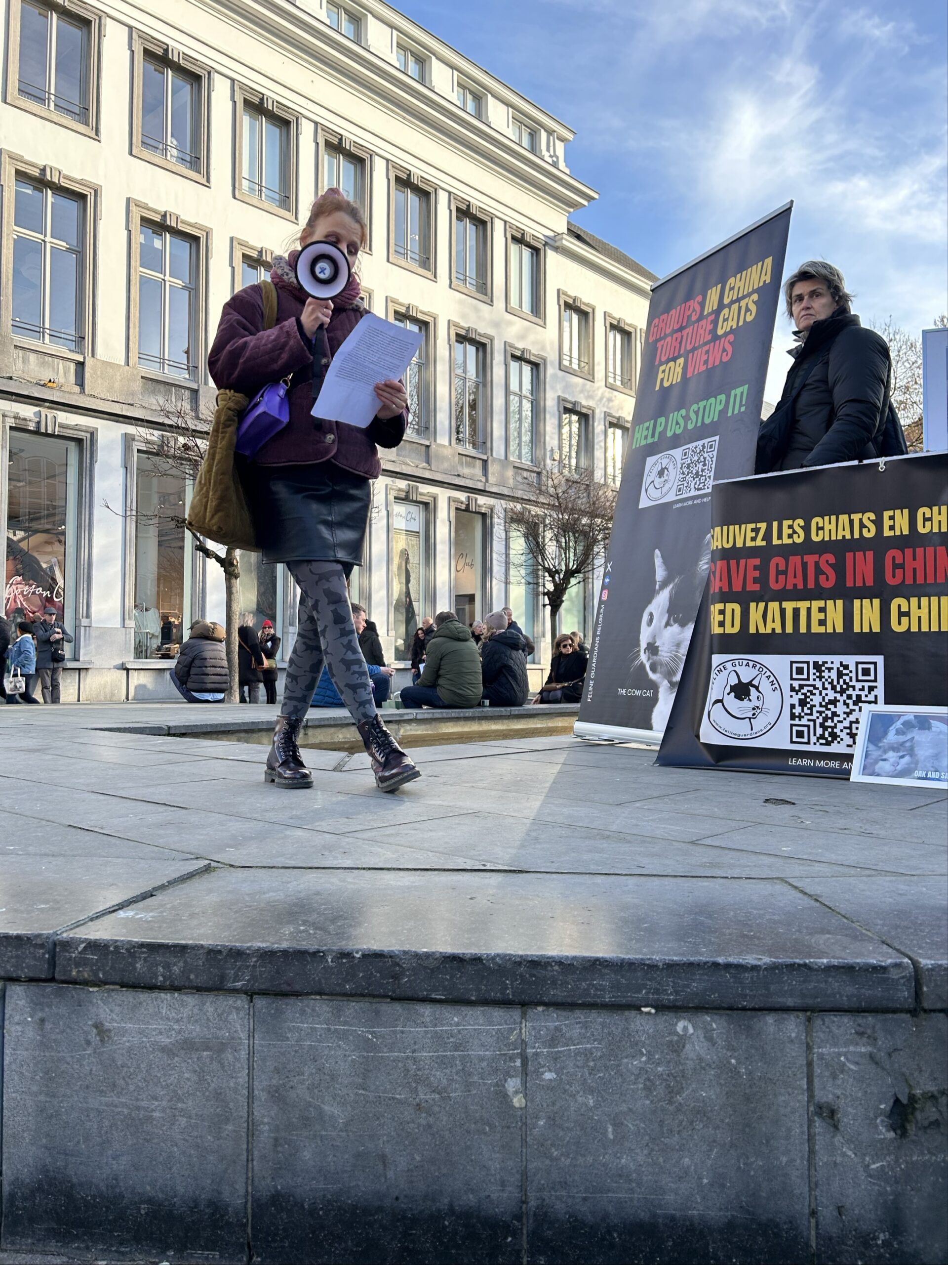 Feline Guardians event in Belgium